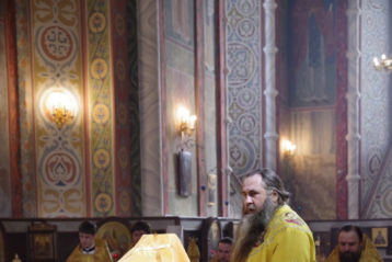 26 февраля. Божественная литургия в Александро-Невском кафедральном соборе (фото Алексея Козориза)