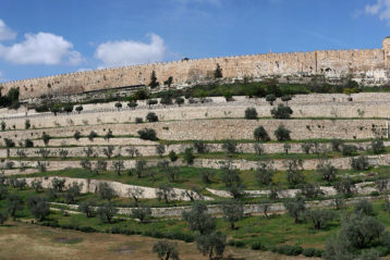 7 апреля. Иеруслим. Стены старого города (фото Алексея Козориза)