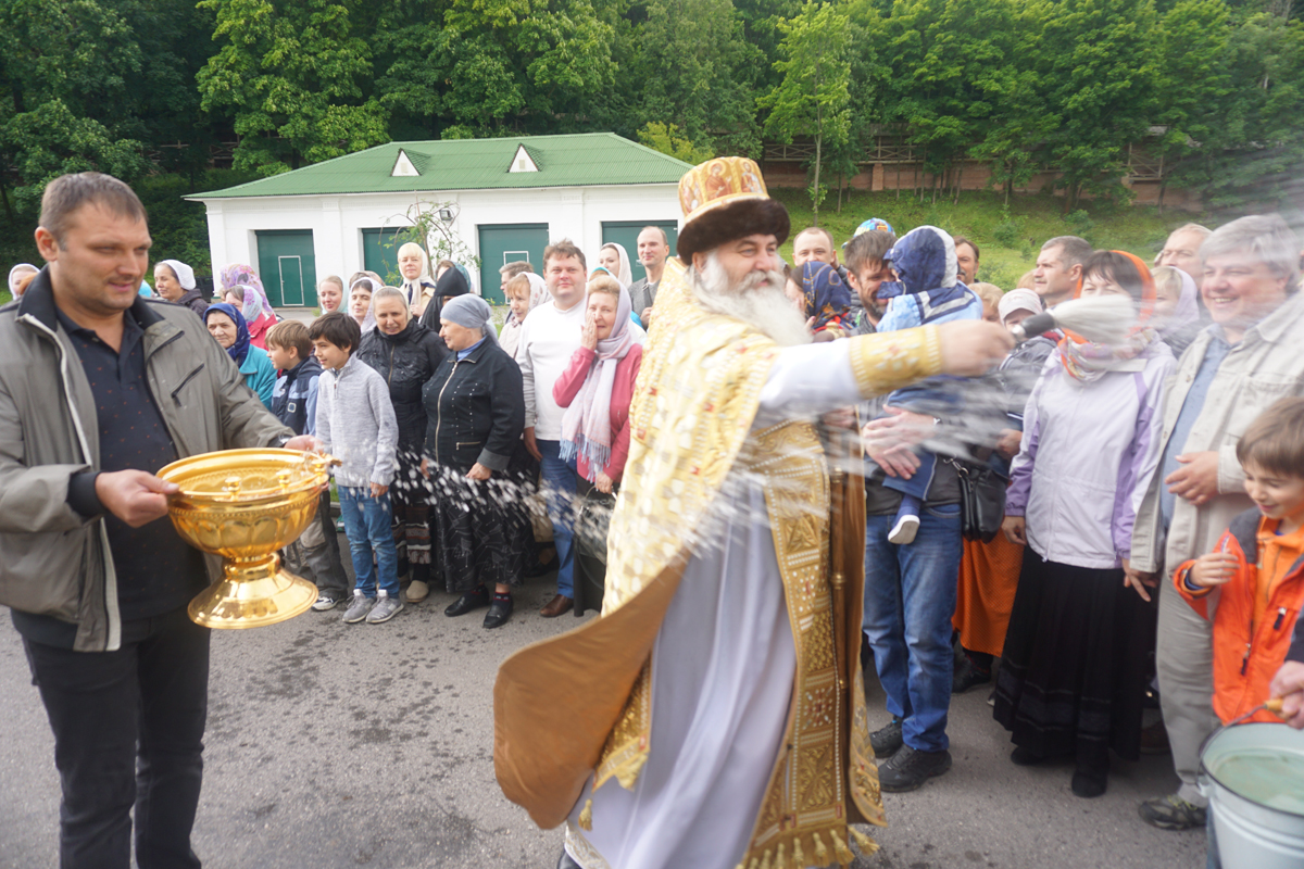 Погода в вознесенске