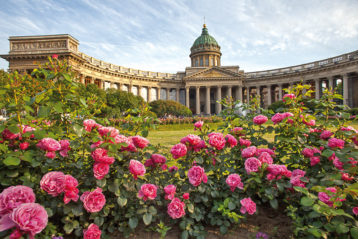 Розы у Казанского собора