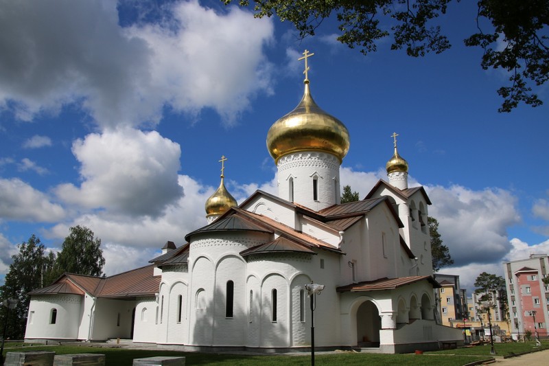 Саровские церкви. Храм Царственных страстотерпцев Саров. Храм святых Царственных страстотерпцев г. Саров. Страстотерпцев Церковь в Сарове. Саров новый храм.