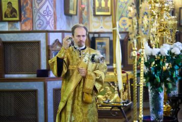 8 ноября. Божественная литургия в Александро-Невском кафедральном соборе (фото Александра Чурбанова)